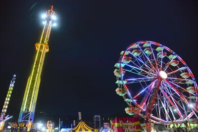 DSC_7792 (Large).JPG